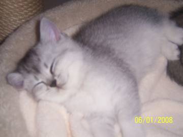 Resi_06.01.2008.jpg