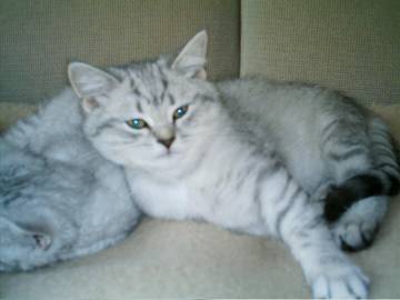 Nelson_02.10.05.jpg