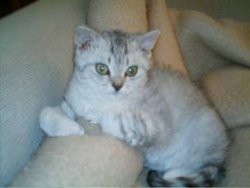 Natali_28.9.05.jpg