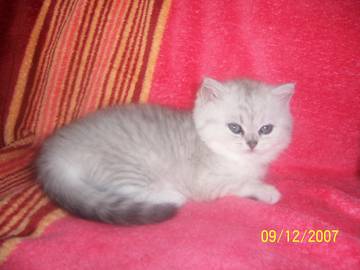 Quenny_1.jpg