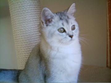 Nikita_22.10.05.jpg